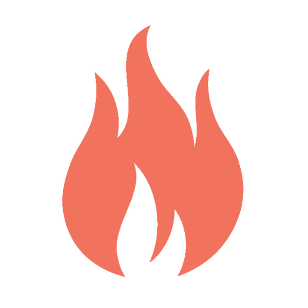 Flame Logo